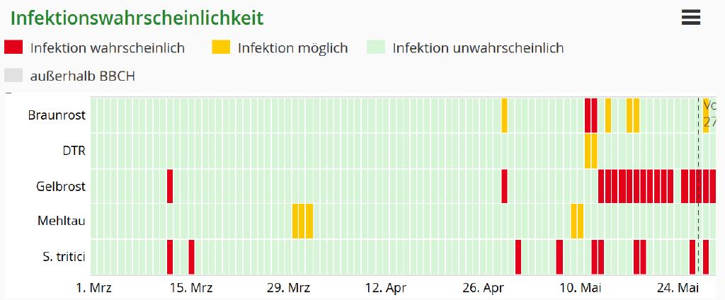 Aktuelle Infektionen in Winterweizen im Neckar-Odenwald-Kreis