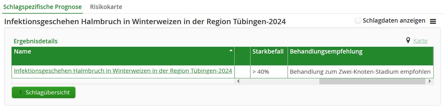 Infektionsgeschehen in Winterweizen im Raum Tübingen-2024