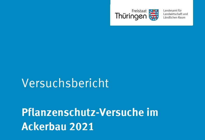 VB2021