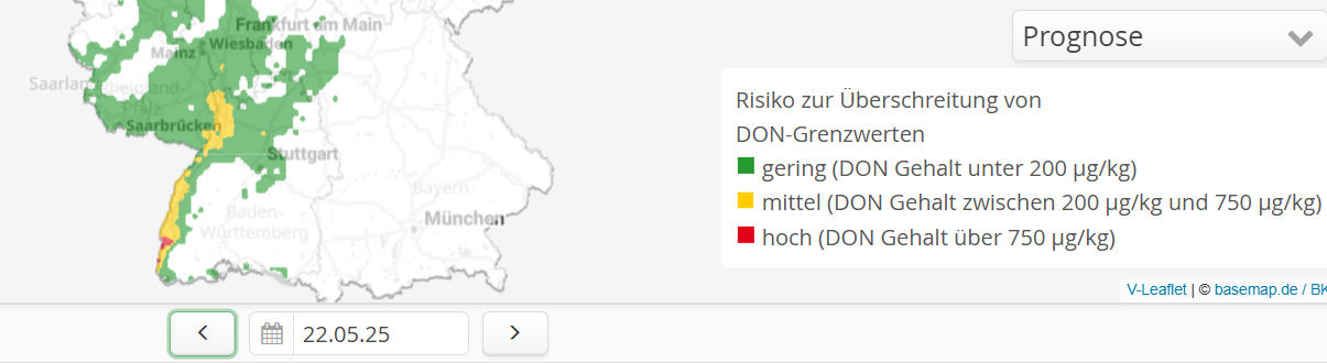 Neuer Inhalt (1)