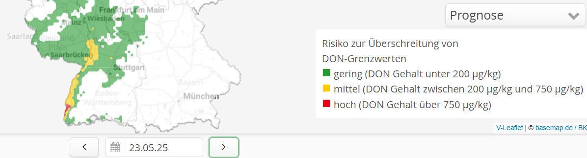Neuer Inhalt (1)