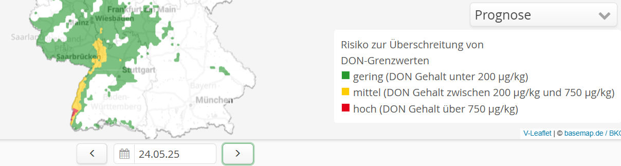 Neuer Inhalt (1)