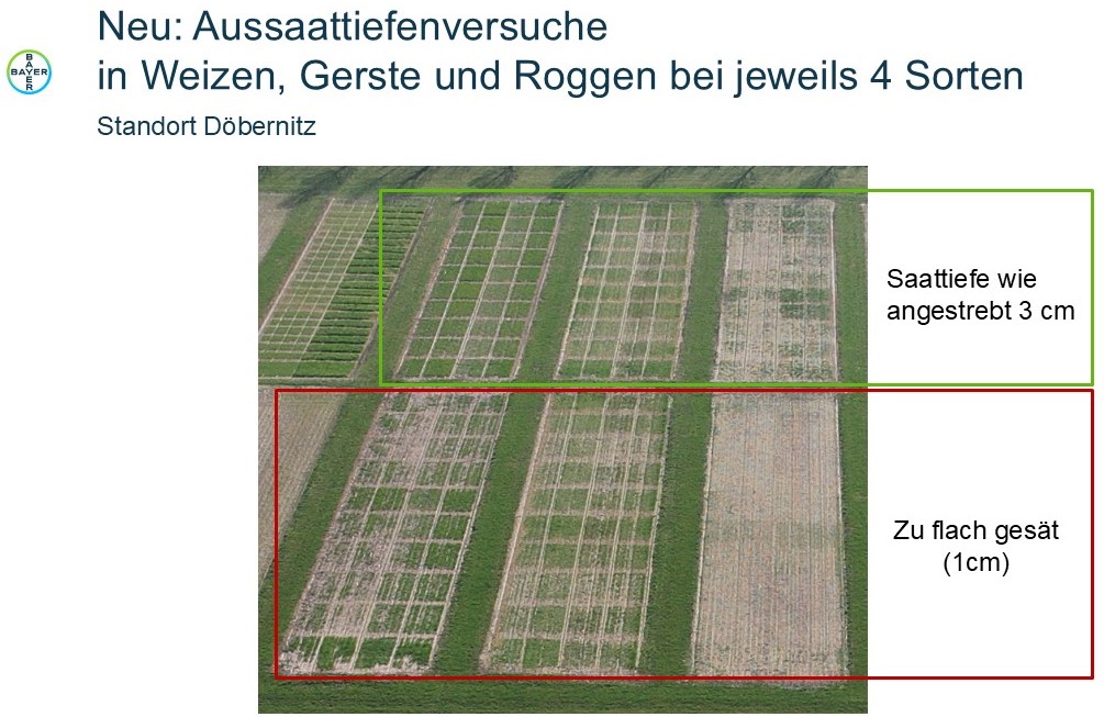 Neuer Inhalt (1)