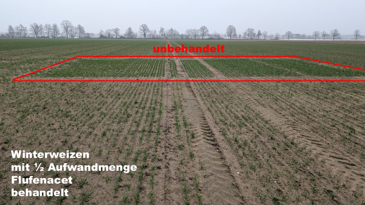 Neuer Inhalt (1)