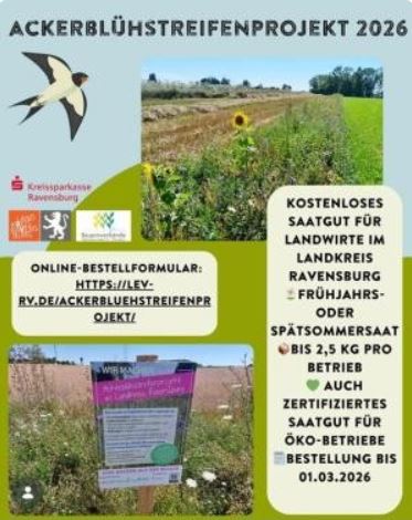 Blühstreifen Projekt Ravensburg-Foto H. Böhmer 2026