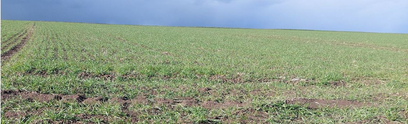 Aktueller Entwicklungsstand im Hohrenlohekreis Foto BWeger LWA Kupferzell