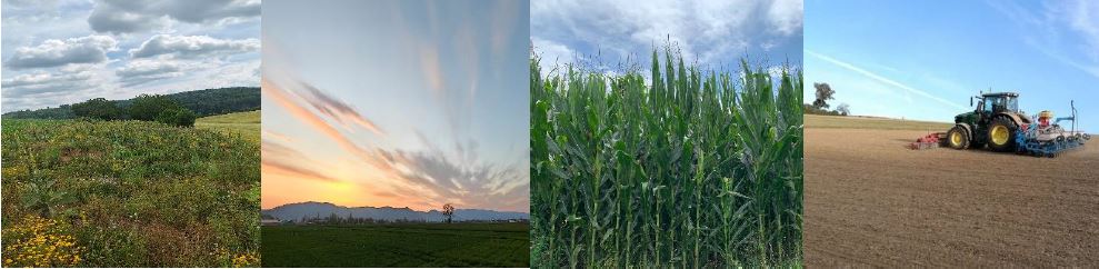 Kulturübergreifend an Werk gehen FotoGMünkel LWA Sinsheim