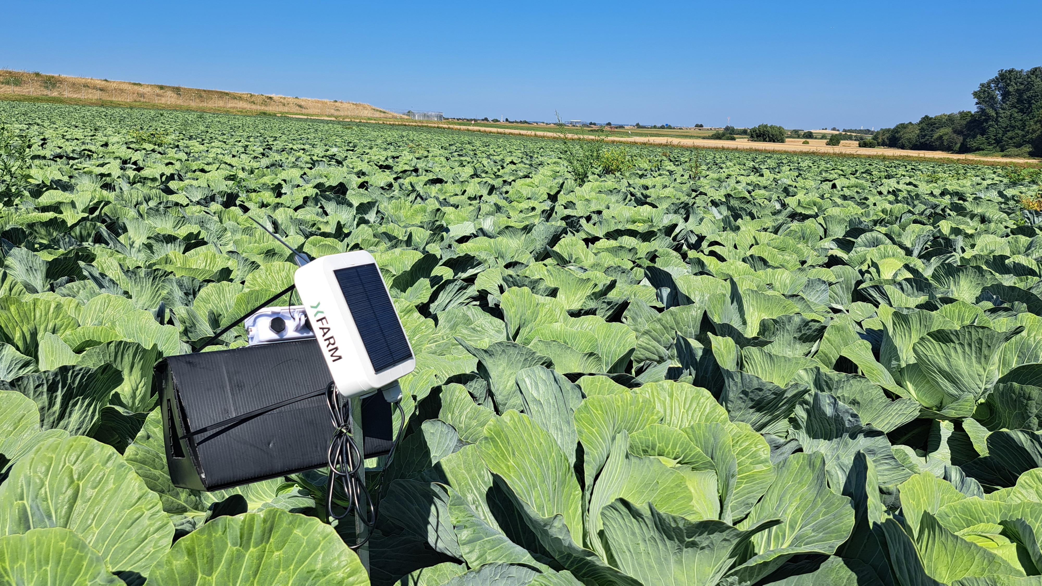 Automatisches Monitoring im Kohl_Terbrüggen