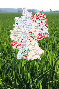 Foto Gerste Monitoring