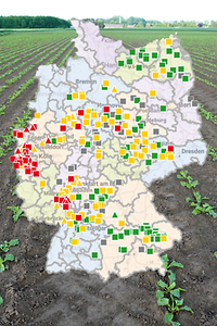 Foto ZR Blattlausmonitoring ISIP