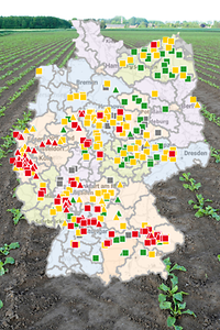 Foto ZR Blattlausmonitoring ISIP
