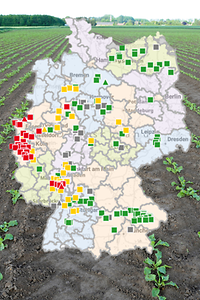 Foto ZR Blattlausmonitoring ISIP