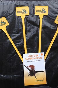 Schneckenmonitoring 2017 organisiert durch die Firma DE SANGOSSE