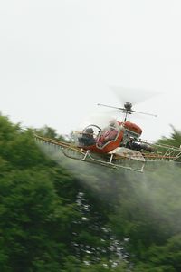 Ausbringung mit dem Hubschrauber Foto RBahmer LTZ Augustenberg