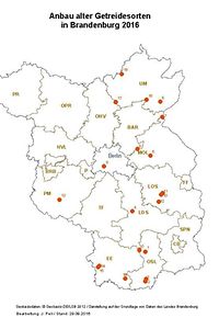 Alte Gereidesorten