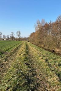 Neuer Inhalt (1)