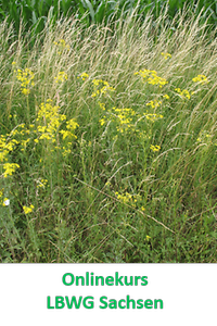 lbwg Sachsen